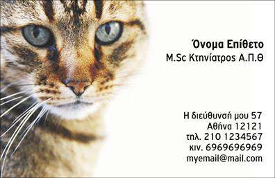 Επαγγελματική κάρτα για ΚτηνιάτρουςΑνακαλύψτε την ιδανική επαγγελματική κάρτα για Κτηνιάτρους που συνδυάζει κομψότητα και δυναμισμό. Η κάρτα αυτή χαρακτηρίζεται από πρακτική διάταξη και ζωντανά χρώματα που τραβούν την προσοχή, ενώ η επιλογή μίνιμαλ γραμματοσειράς εξασφαλίζει ευανάγνωστο περιεχόμενο.Η αισθητική της κάρτας αποπνέει επαγγελματισμό, με στοιχεία που αναδεικνύουν την αξιοπιστία του κτηνιατρικού επαγγέλματος. Οι σχετικές εικόνες και τα εικονίδια δημιουργούν μια ζεστή ατμόσφαιρα που προδιαθέτει θετικά τους πελάτες.Αυτή η κάρτα προσφέρει εξαιρετική προσαρμοστικότητα, επιτρέποντας την προσθήκη στοιχείων όπως όνομα, τηλέφωνο και λογότυπο, διασφαλίζοντας ότι κάθε πληροφορία είναι εύκολα προσβάσιμη. Είναι μια ιδανική επιλογή για να προβάλλετε τις υπηρεσίες σας με στυλ και επαγγελματισμό.Η κάρτα αυτή έχει σχεδιαστεί να ανταγωνίζεται και να ξεχωρίζει στο κτηνιατρικό τοπίο. Με την προσεγμένη σχεδίαση και την άρτια αναπαράσταση των υπηρεσιών σας, θα αφήσετε μια θετική εντύπωση στους πελάτες σας.Μπορείτε να κάνετε όποιες αλλαγές θέλετε μέσω του online σχεδιαστικού εργαλείου.